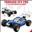 Tornado EPX PRO 1/10 Scale Brushless Buggy